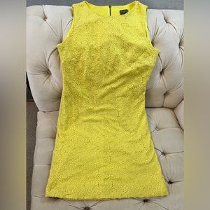 Taylor Dresses Lemon Shift Dress